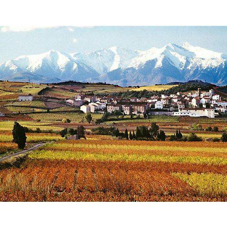 Entre Mer Et Montagne Montner Ngoại thất bức ảnh