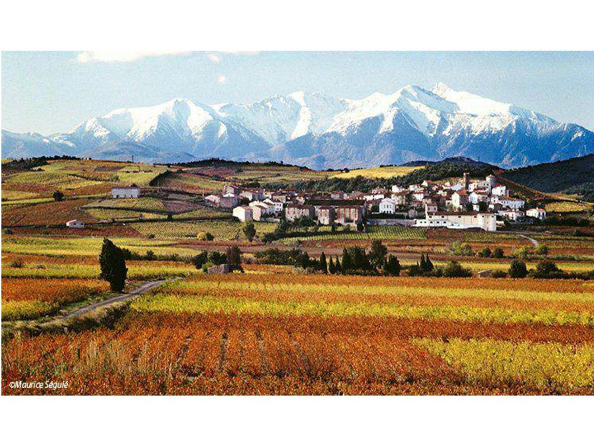 Entre Mer Et Montagne Montner Ngoại thất bức ảnh